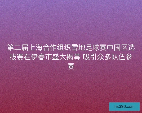 第二届上海合作组织雪地足球赛中国区选拔赛在伊春市盛大揭幕 吸引众多队伍参赛