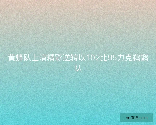 黄蜂队上演精彩逆转以102比95力克鹈鹕队